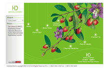 Tablet Screenshot of herbalderma.com